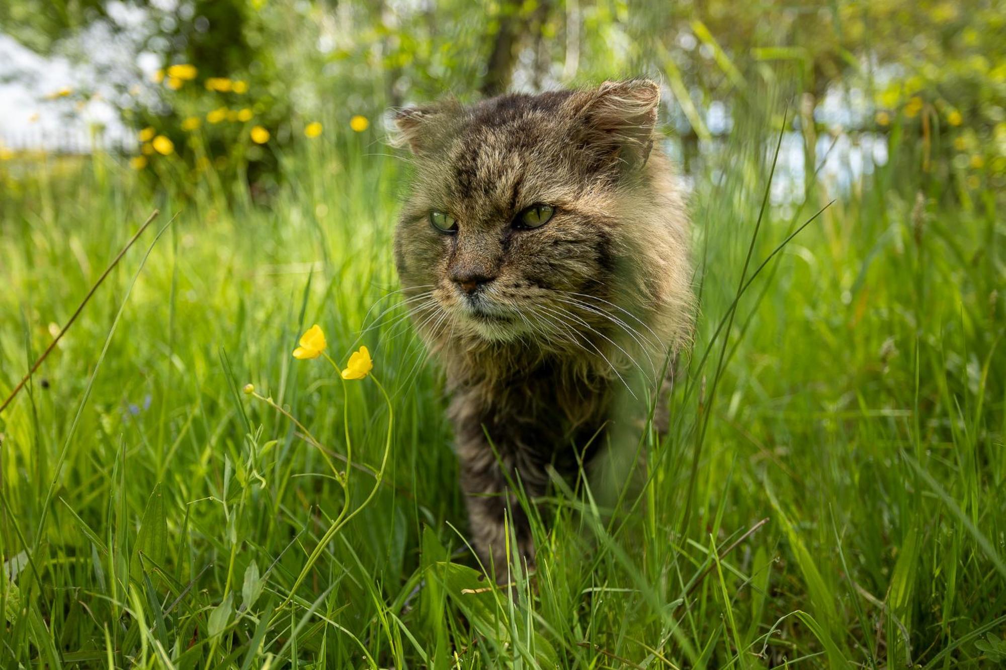 Paradise Cottage - Chalupa V Raji Ctverin Zewnętrze zdjęcie